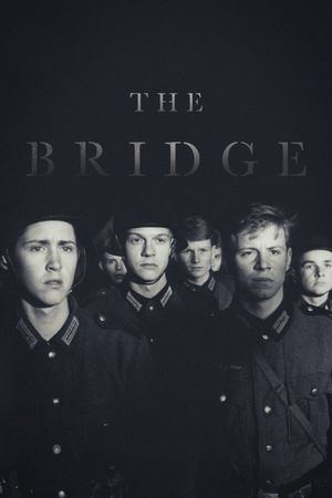 The Bridge's poster image