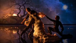 Flamenco Flamenco's poster