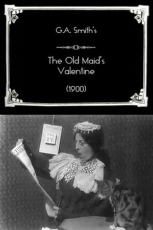 The Old Maid's Valentine's poster