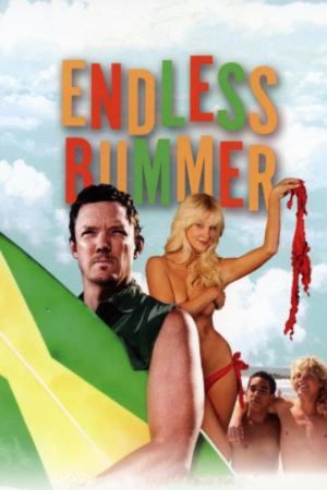Endless Bummer's poster