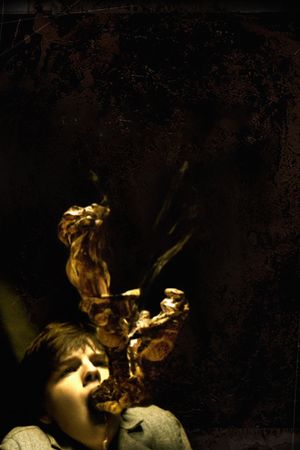 The Haunting in Connecticut's poster