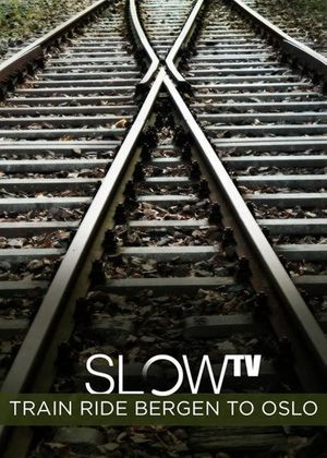 Slow TV: Train Ride Bergen to Oslo's poster