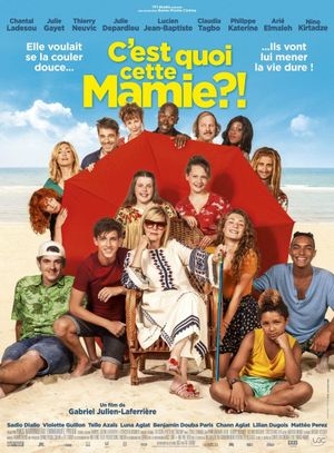 What's with This Granny!?'s poster