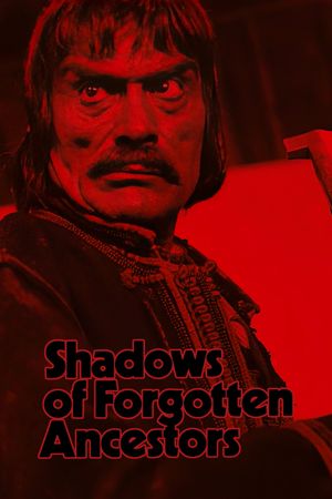 Shadows of Forgotten Ancestors's poster