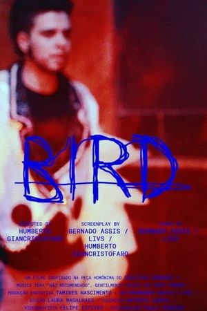 Bird's poster