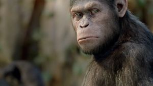 Rise of the Planet of the Apes's poster
