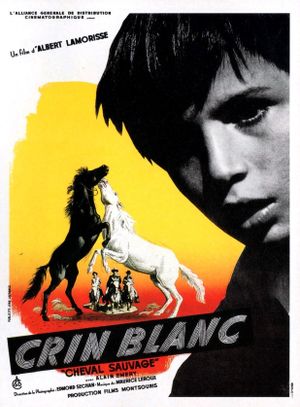 White Mane's poster