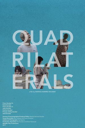 Quadrilaterals's poster image