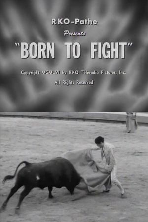 Born to Fight's poster