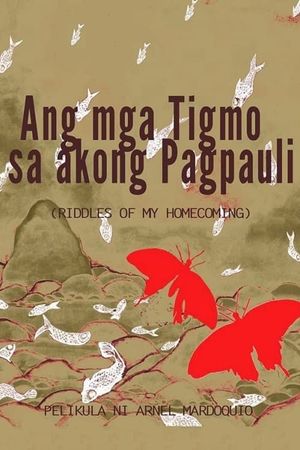 Riddles of My Homecoming's poster