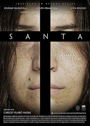 Santa's poster image