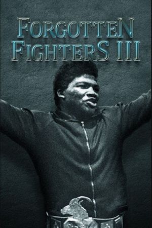 Forgotten Fighters III's poster