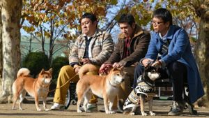 Shiba Park's poster