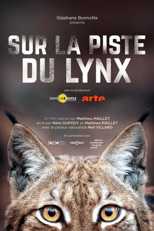 Sur la piste du lynx's poster