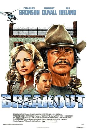 Breakout's poster