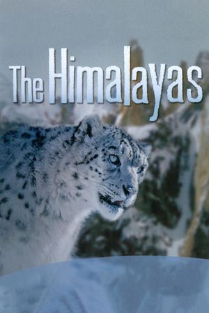 The Himalayas's poster