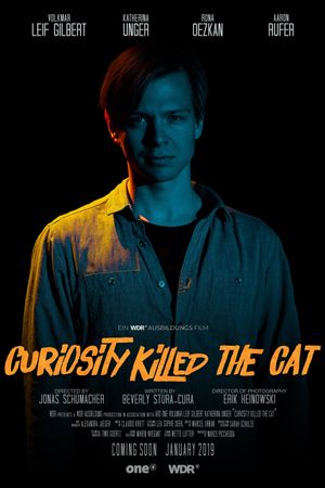 Curiosity killed the Cat's poster image