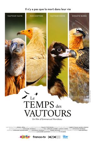 Le Temps des vautours's poster