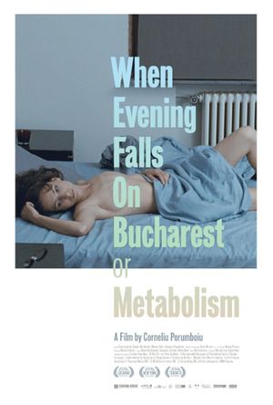 When Evening Falls on Bucharest or Metabolism's poster