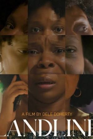 Landline's poster