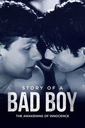 Story of a Bad Boy's poster