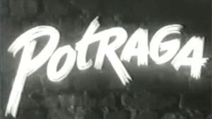 Potraga's poster