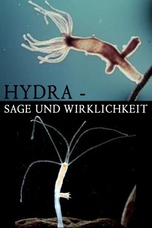 Hydra - Legend and Reality's poster