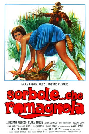 Sorbole... che romagnola's poster