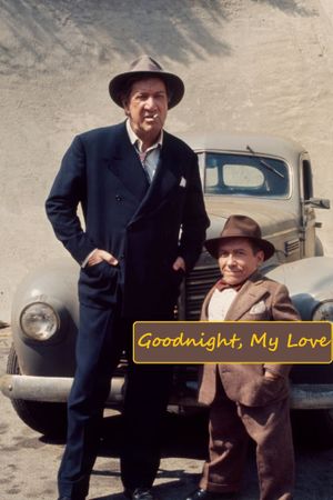 Goodnight, My Love's poster