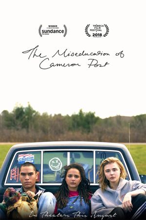 The Miseducation of Cameron Post's poster