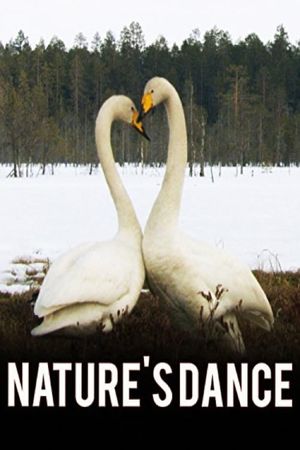Nature's Dance's poster