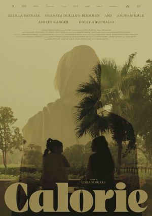 Calorie's poster image