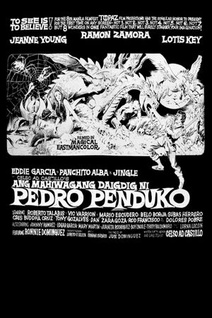 Ang mahiwagang daigdig ni Pedro Penduko's poster