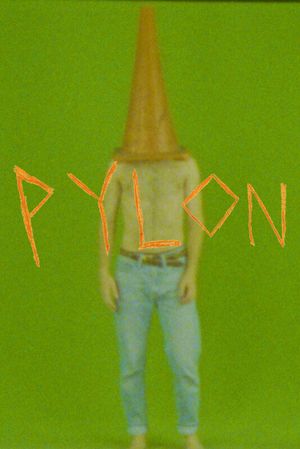 PYLON's poster