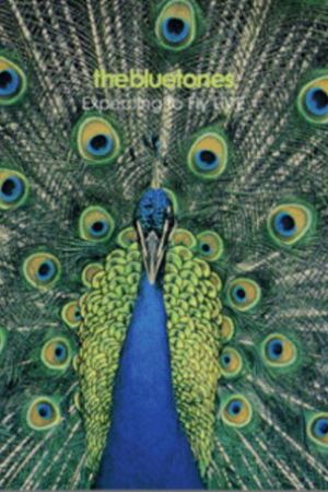 The Bluetones: Expecting To Fly Live's poster