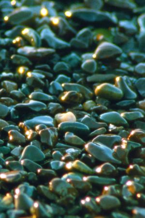 Jasper Beach and The Salt Marsh's poster