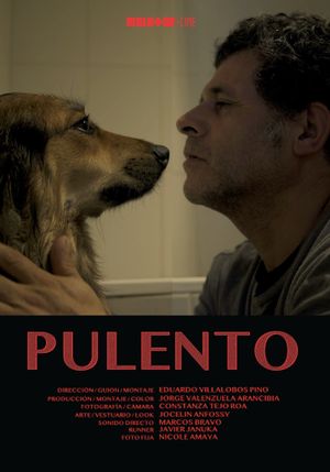 Pulento's poster
