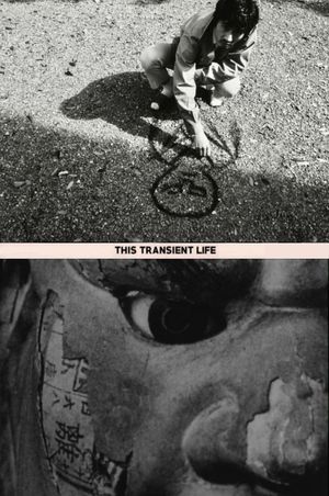 This Transient Life's poster