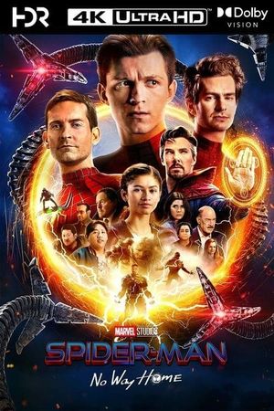 Spider-Man: No Way Home's poster