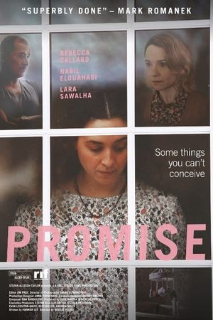 Promise's poster