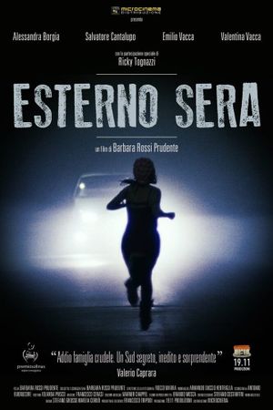 Esterno sera's poster image