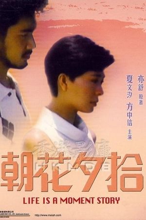 Zhao hua xi shi's poster
