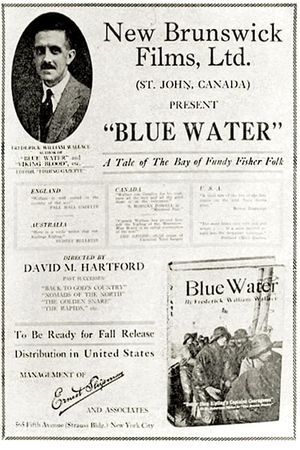 Blue Water's poster