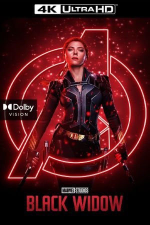 Black Widow's poster