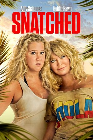 Snatched's poster