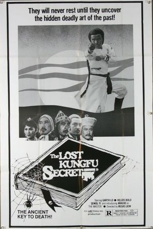 The Lost Kung Fu Secrets's poster image