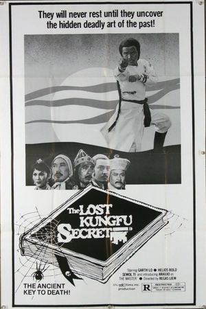 The Lost Kung Fu Secrets's poster