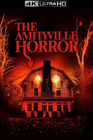 The Amityville Horror's poster