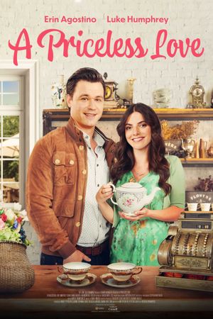 A Priceless Love's poster