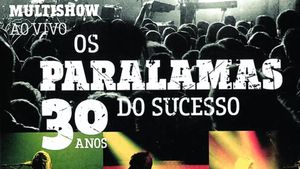 Os Paralamas do Sucesso - 30 Anos Multishow ao Vivo's poster